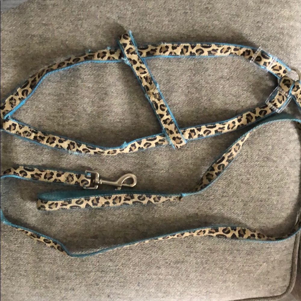 Dog leash and Harness